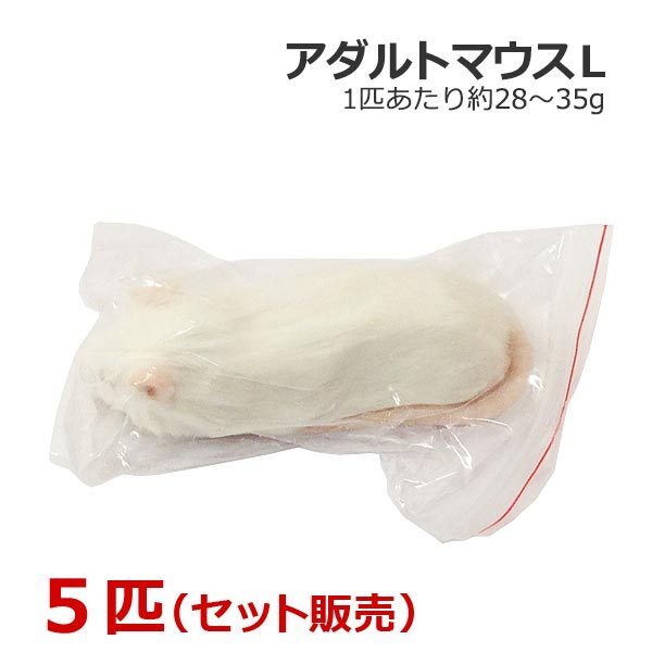 冷凍 アダルトマウス Lサイズ 5匹
