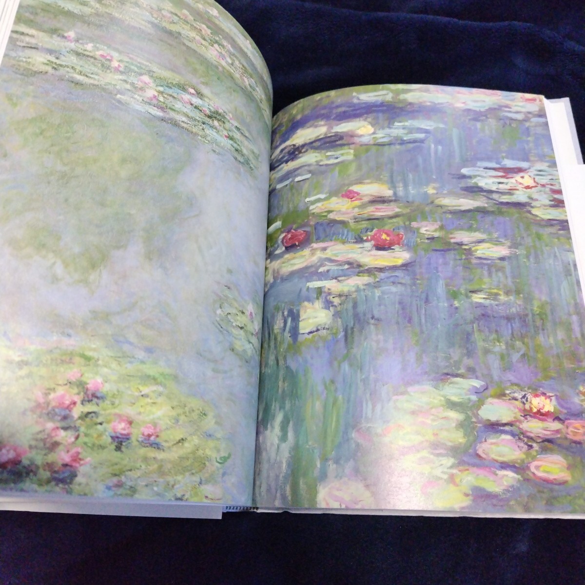 美 画集 図録◆モネ、風景をみる眼 19世紀フランス風景画の革新 2013年/ロダン シニャック ガレ ピカソ ピサロ ボナール ルノワール/sskw1_画像7