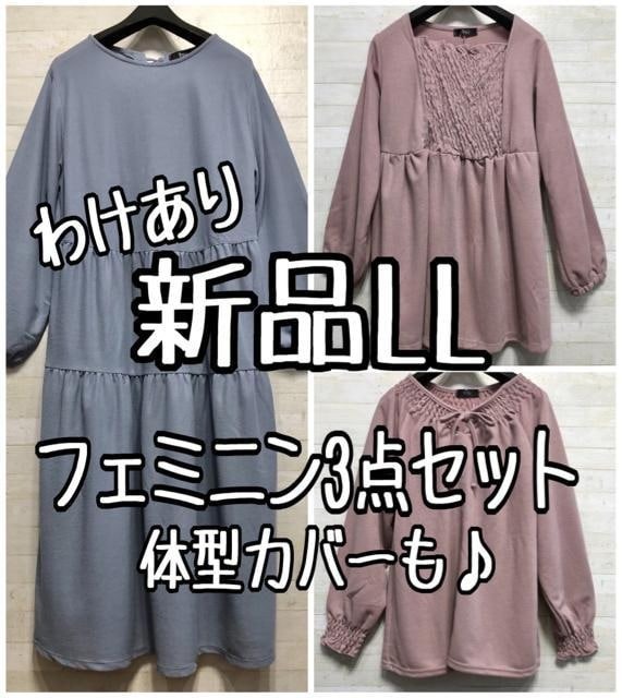  новый товар *LL розовый × оттенок голубого! body type аккуратный видно!femi человек 3 позиций комплект 0B581