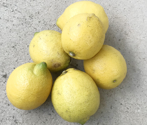 自然栽培 レモン(1kg)★和歌山県産★無肥料・無農薬★究極のフルーツ(柑橘)★果汁が多く酸っぱさの中にもほのかな甘味があります(*^^*)