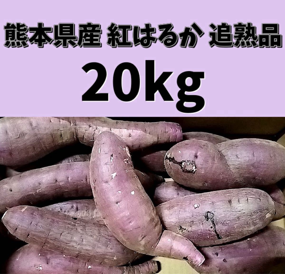 送料無料即決!!!】熊本県産 紅はるか 追熟済 サイズおまかせ(箱