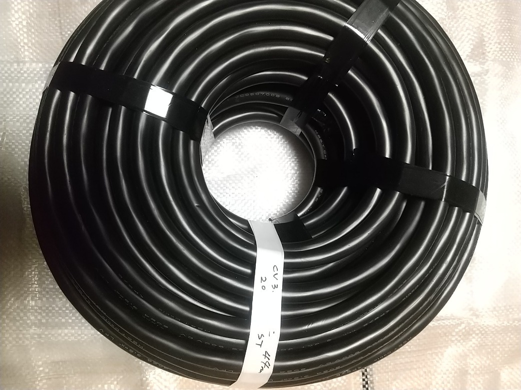 玉掛けワイヤー 2本組 両アイロック加工 黒 30mmx5m 建築材料 玉掛けワイヤー 2本組 両アイロック加工 黒 30mmx5m 建築材料