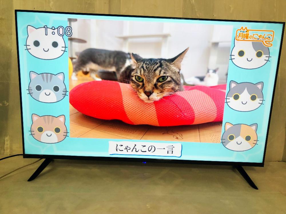 Amazon | ティーズネットワーク SHION 50V型HDR搭載4K対応液晶テレビ 離島・沖縄配達不可 HLE-5012K | テレビ 通販