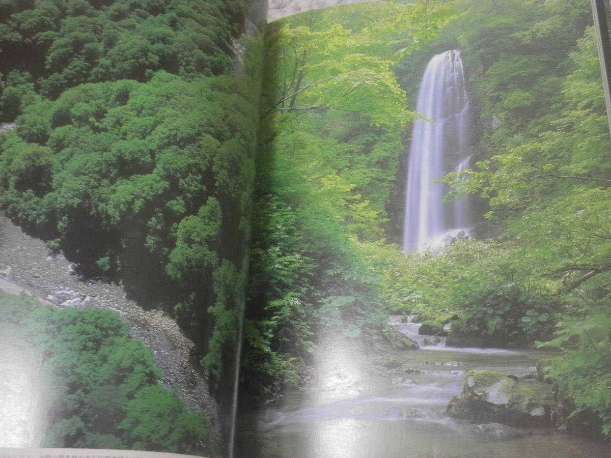Shirakami 白神山地 白神山地の自然 生態の写真集 ブナ林 蝶 クマゲラ 野鳥 昆虫 水 動物 山村の暮らし 青森銀行 Product Details Yahoo Auctions Japan Proxy Bidding And Shopping Service From Japan Shirakami 白神山地 白神山地の自然 生態の写真集 ブナ林 蝶 クマゲラ 野鳥 昆虫 水 動物 山村の暮らし 青森銀行 Product Details Yahoo Auctions Japan Proxy Bidding And Shopping Service From Japan