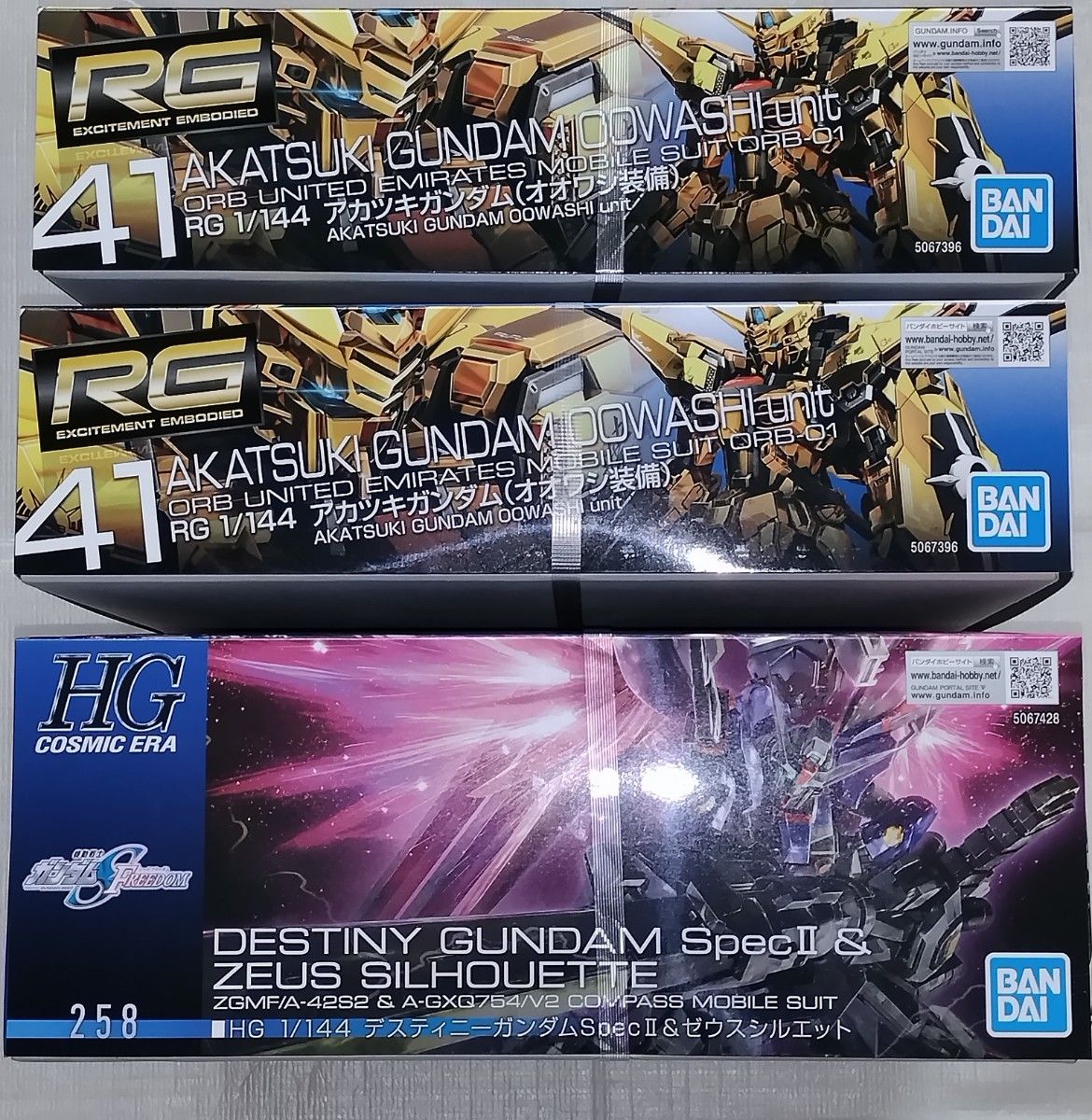 HG 1/144 デスティニーガンダムspecⅡ+ゼウスシルエット&RG HG 1/144 デスティニーガンダムspecⅡ+ゼウスシルエット&RG
