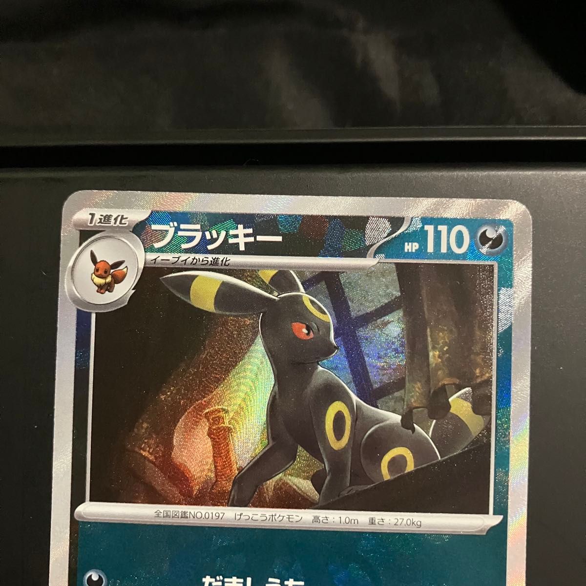 ブラッキー マスターボール テラスタルフェスex ポケモンカード ブラッキー マスターボール テラスタルフェスex ポケモンカード