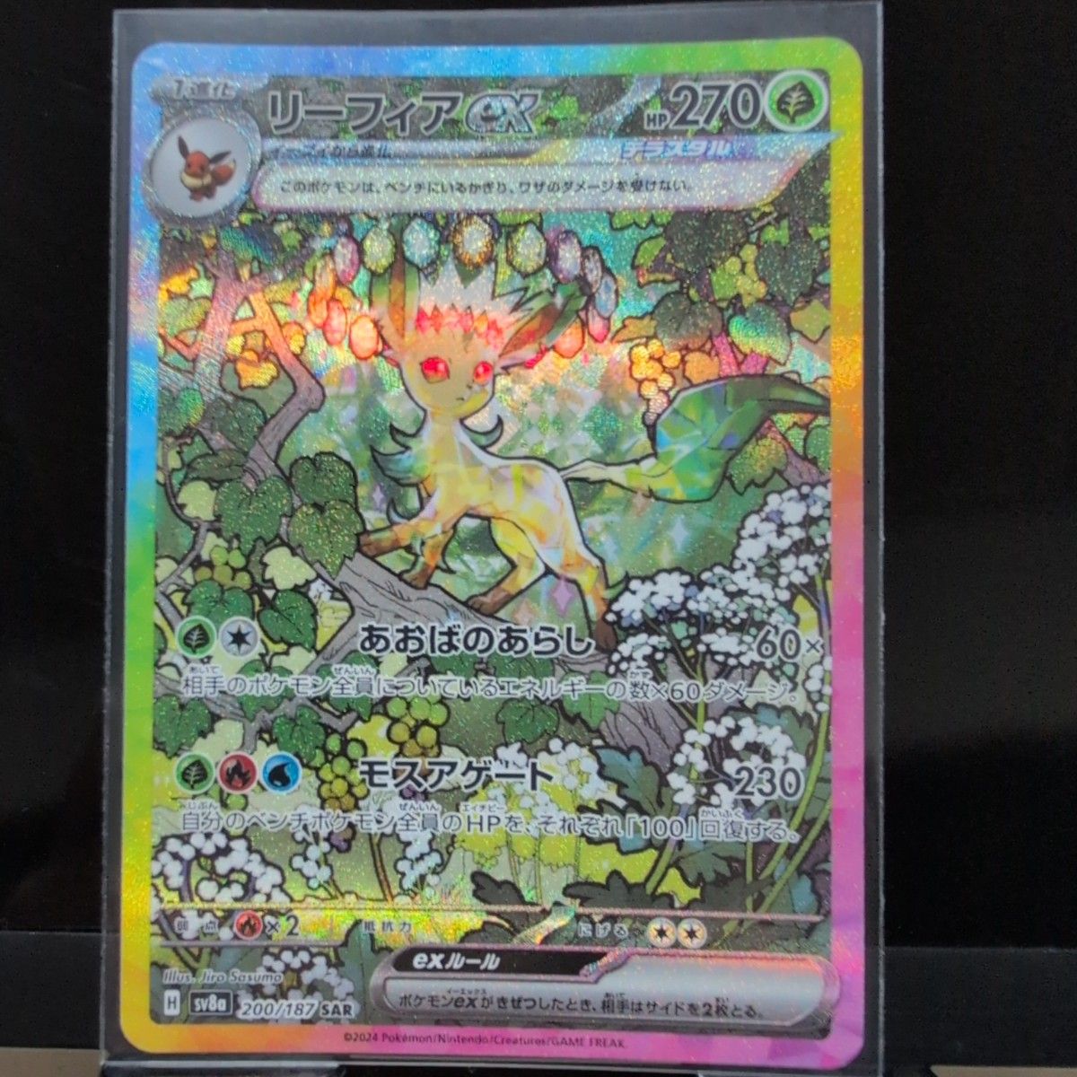 ポケモンカード テラスタルフェスex ゴットパックコンプリートセット ポケモンカード テラスタルフェスex ゴットパックコンプリートセット