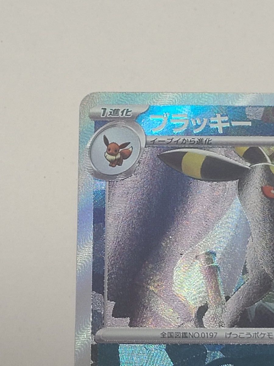 ブラッキーEX SAR ブラッキー マスボミラー ブラッキー マスター ブラッキーEX SAR ブラッキー マスボミラー ブラッキー マスター
