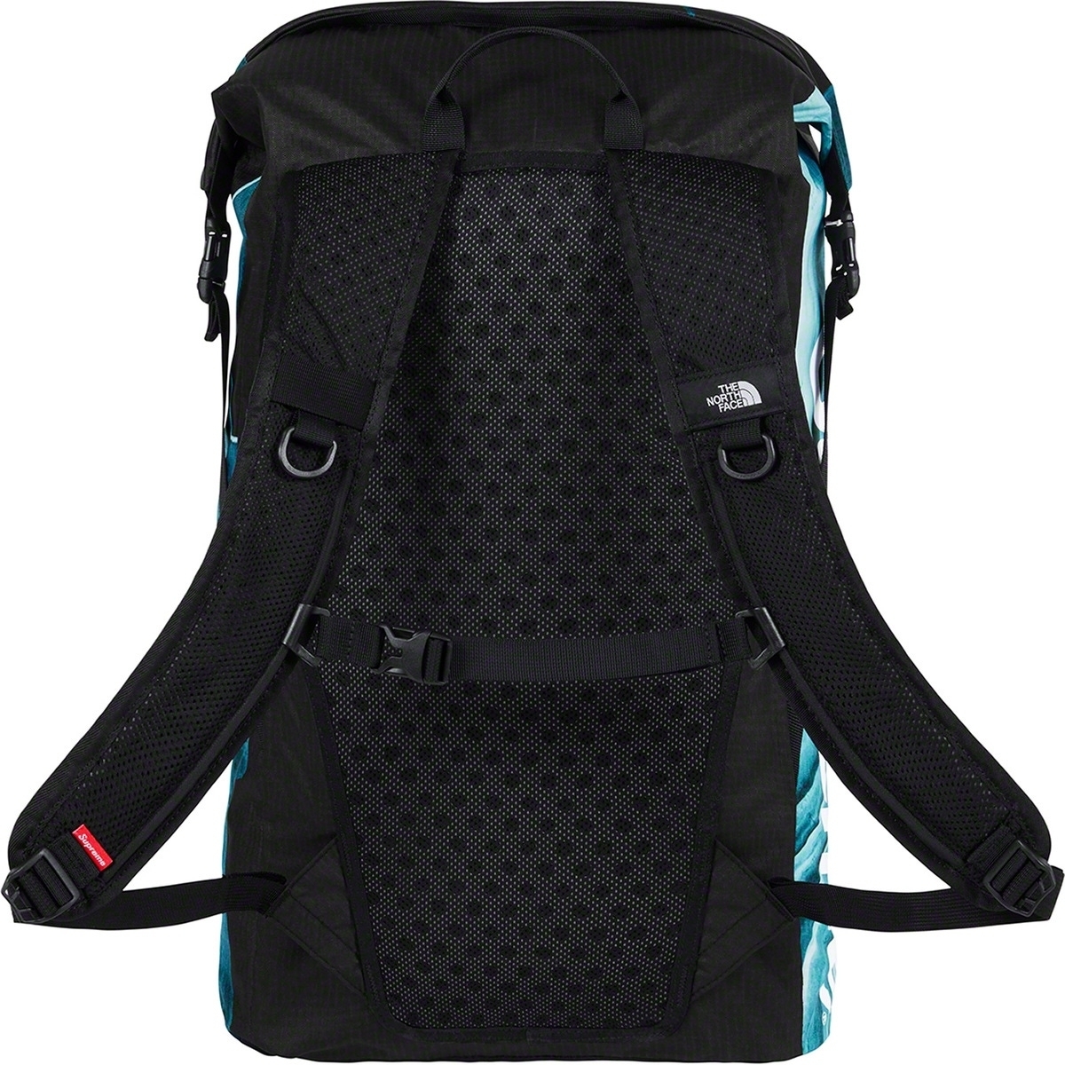 【国内正規】Supreme The North Face Statue of Liberty Waterproof Backpack 黒 シュプリーム ノースフェイス black 自由の女神_画像3