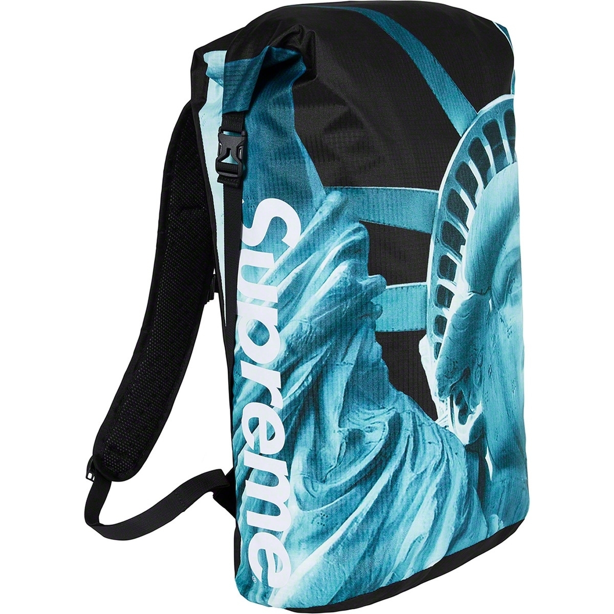 【国内正規】Supreme The North Face Statue of Liberty Waterproof Backpack 黒 シュプリーム ノースフェイス black 自由の女神_画像4