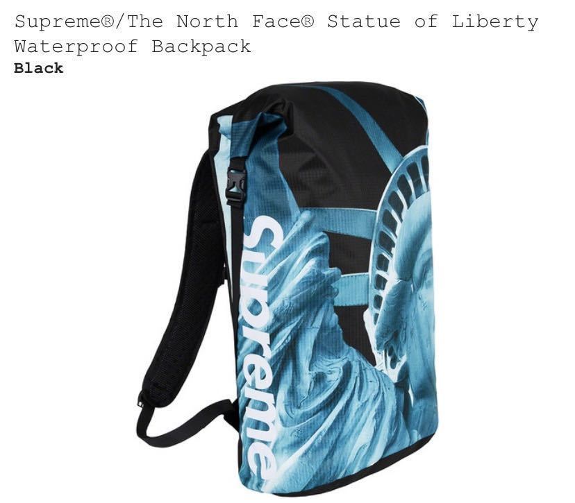 【国内正規】Supreme The North Face Statue of Liberty Waterproof Backpack 黒 シュプリーム ノースフェイス black 自由の女神_画像1