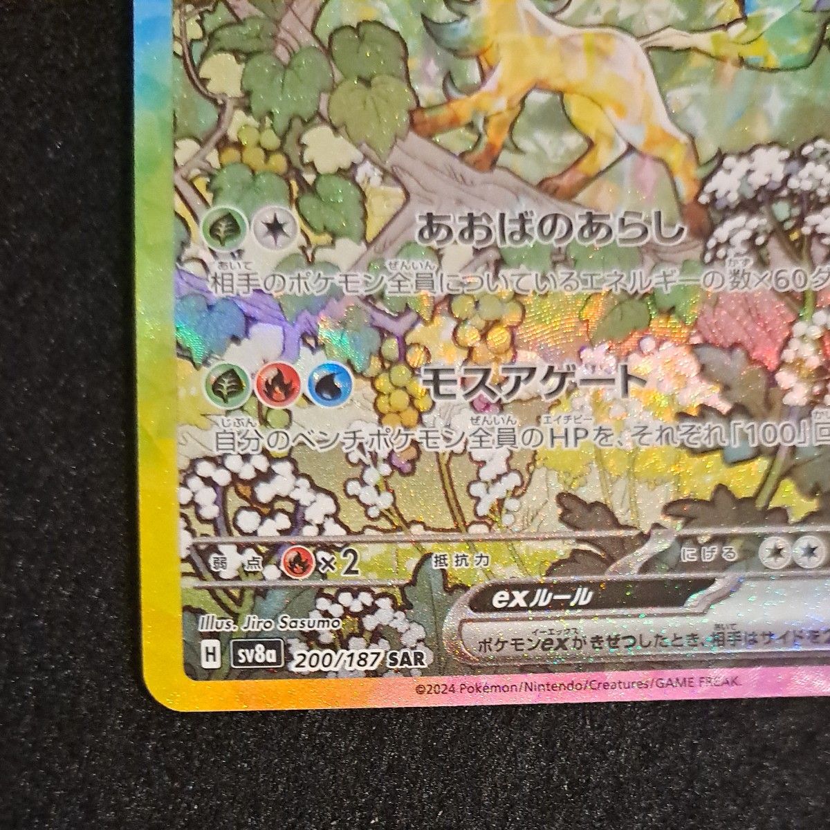 ポケモンカード テラスタルフェスex リーフィアex SAR|Yahoo ポケモンカード テラスタルフェスex リーフィアex SAR|Yahoo