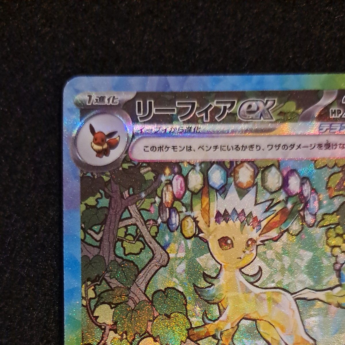 ポケモンカード テラスタルフェスex リーフィアex SAR|Yahoo ポケモンカード テラスタルフェスex リーフィアex SAR|Yahoo