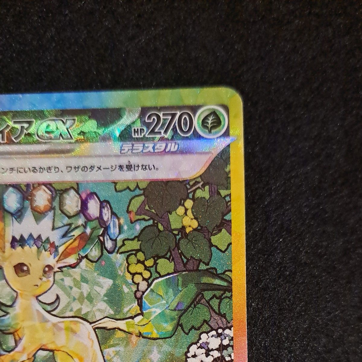 ポケモンカード テラスタルフェスex リーフィアex SAR|Yahoo ポケモンカード テラスタルフェスex リーフィアex SAR|Yahoo