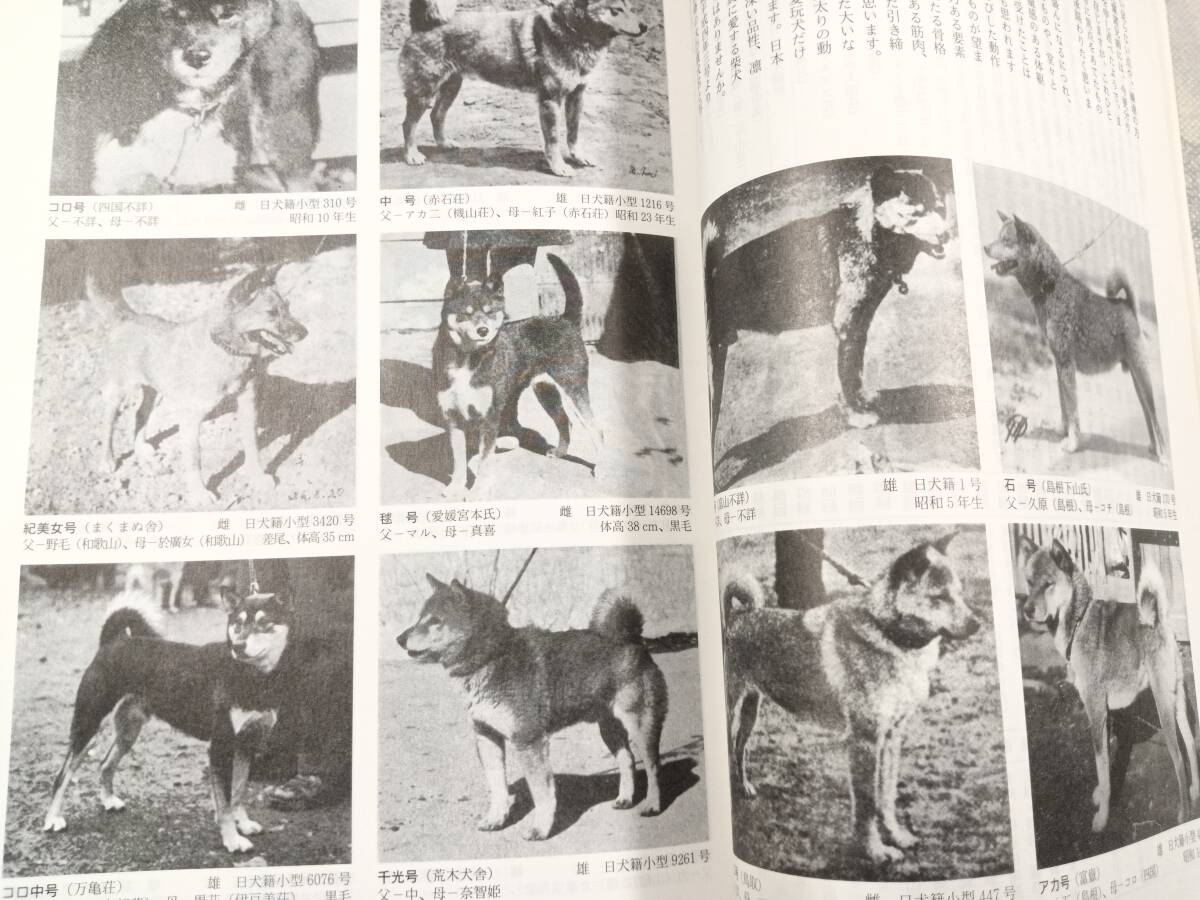 116回 全国展覧会 入賞犬写真 – 公益社団法人 日本犬保存会