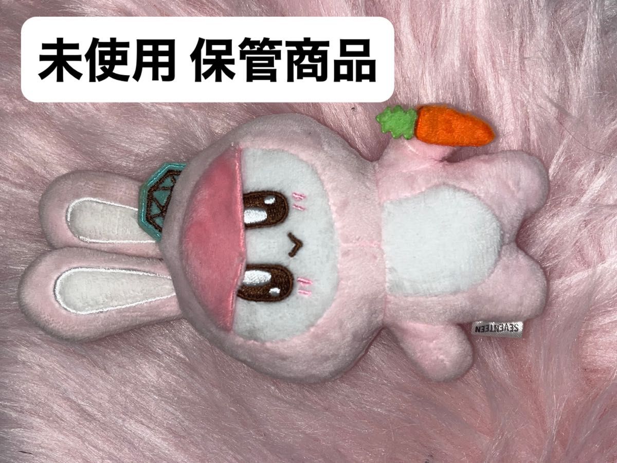 SEVENTEEN セブチ ボンボンイ ぬいぐるみ ねこ うさぎ にんじん