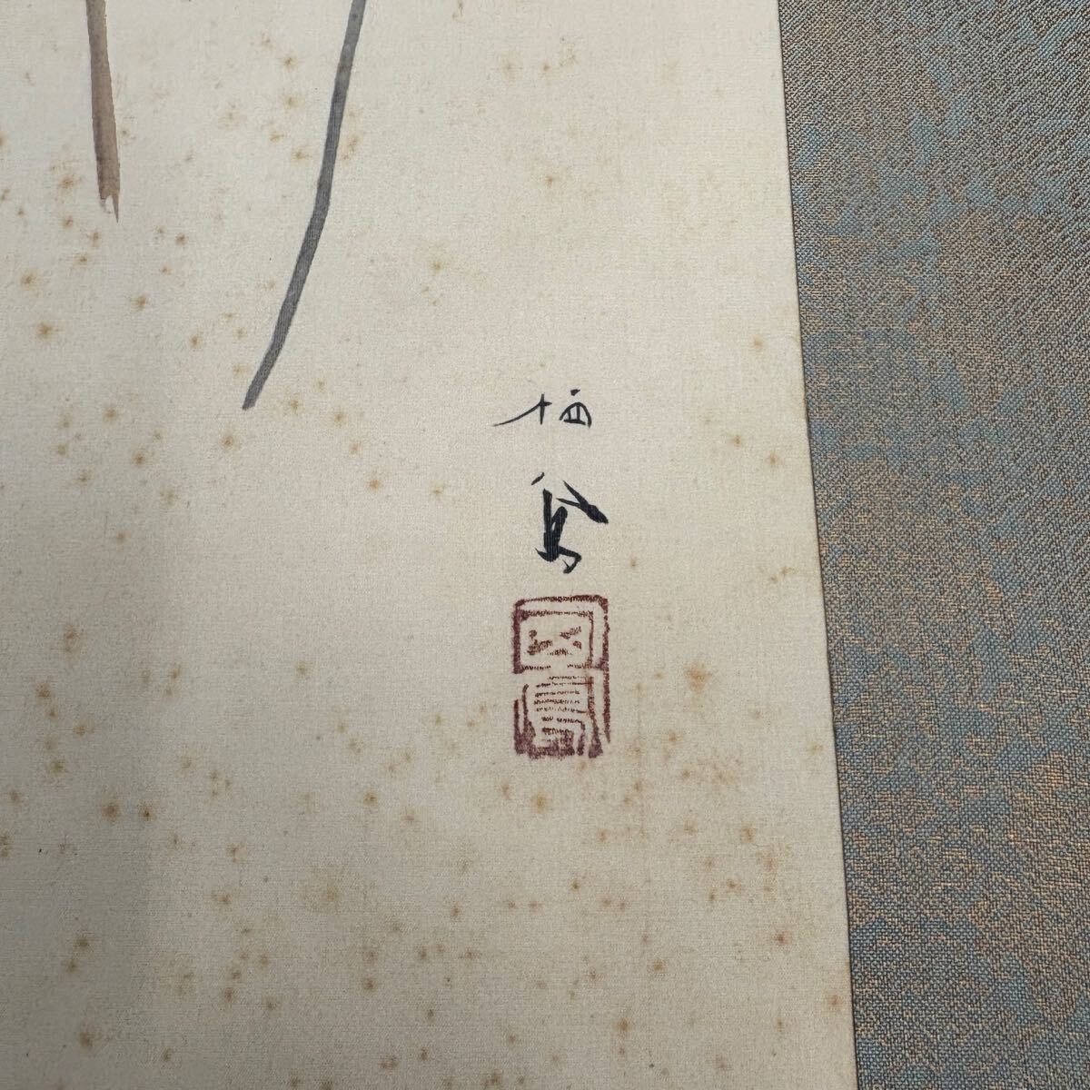 【模写】文化勲章受章 竹内栖鳳 菊図 紙本 掛軸 書画 日本画 水墨画_画像6