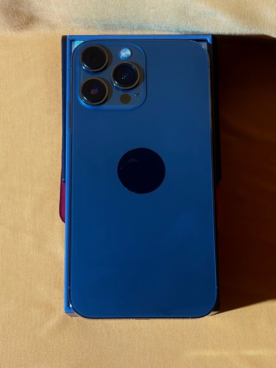 iPhone XR 64GB カスタム外装 iPhone13Pro風 判定 バッテリー100 iPhone XR 64GB カスタム外装 iPhone13Pro風 判定 バッテリー100