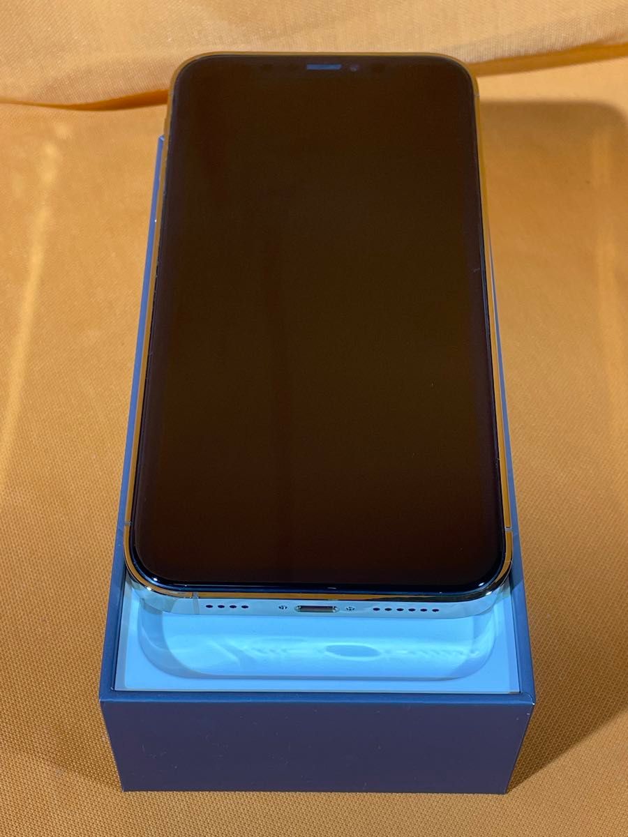 iPhone XR 64GB カスタム外装 iPhone13Pro風 判定 バッテリー100 iPhone XR 64GB カスタム外装 iPhone13Pro風 判定 バッテリー100