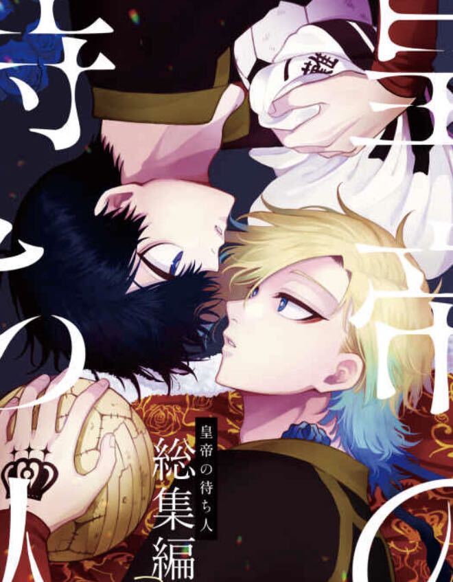 ブルーロック同人誌 カイザー×潔世一 カイ潔 皇帝の待ち人ー総集編ー◆ 西なのな◆にし奈　/816