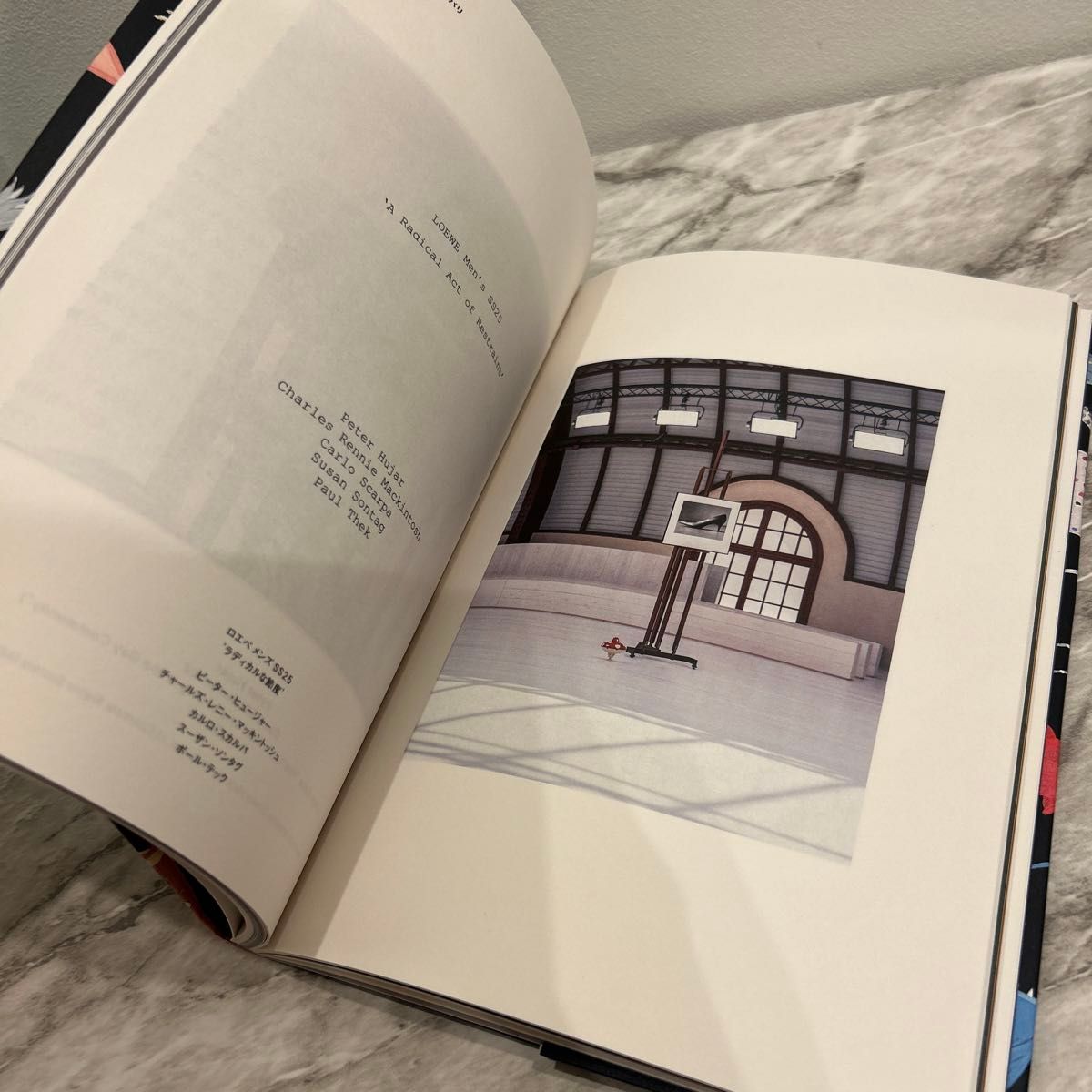 2024ホリデー】LOEWEショッパー/カタログISSUE5/ステッカー 2024ホリデー】LOEWEショッパー/カタログISSUE5/ステッカー