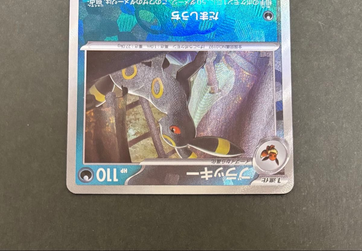 ポケモンカードゲーム テラスタルフェスex / ブラッキー ポケモンカードゲーム テラスタルフェスex / ブラッキー