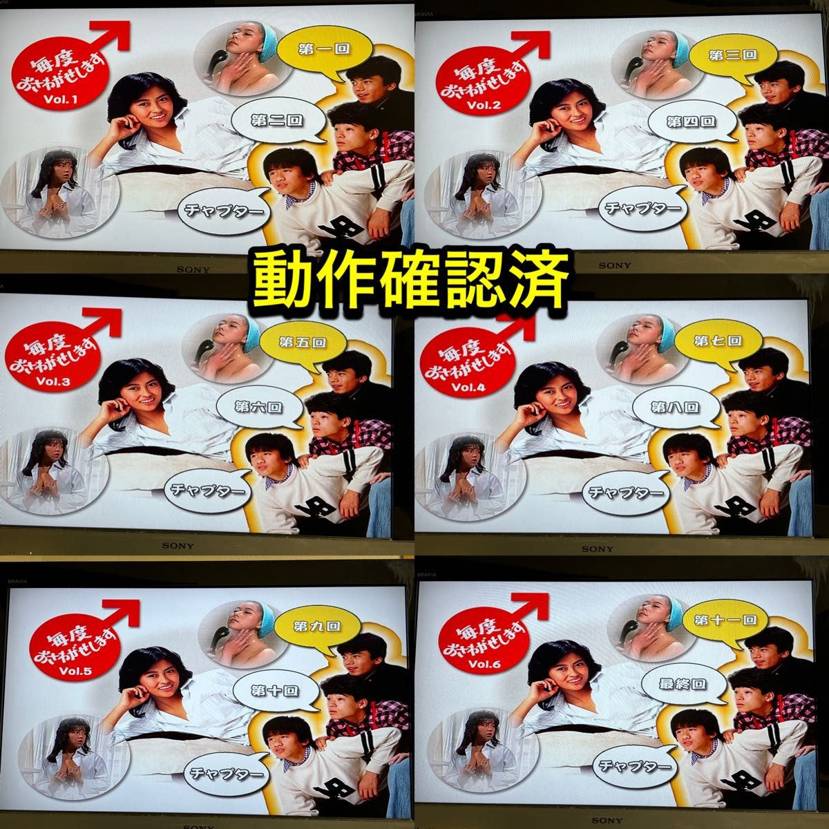 毎度おさわがせします DVD全14巻セット 中山美穂 木村一八 毎度おさわがせします DVD全14巻セット 中山美穂 木村一八