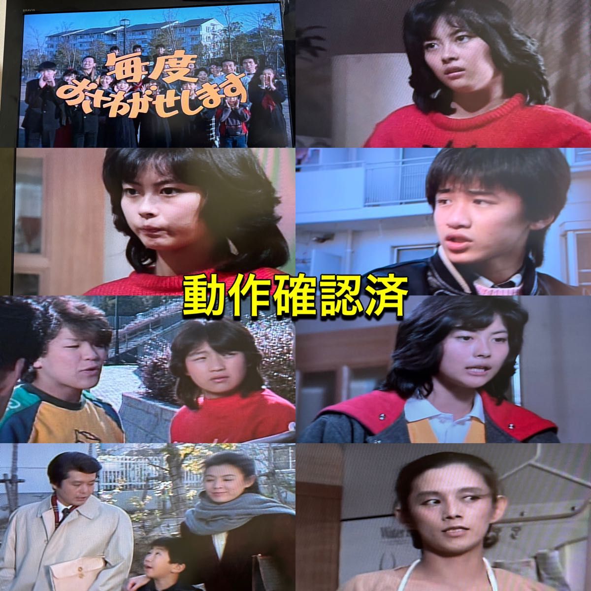 毎度おさわがせします DVD全14巻セット 中山美穂 木村一八 毎度おさわがせします DVD全14巻セット 中山美穂 木村一八