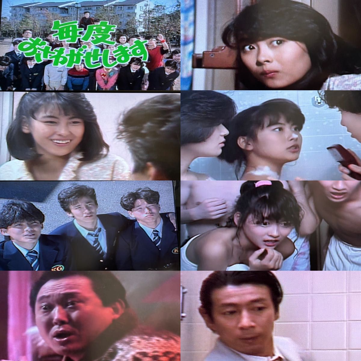 毎度おさわがせします DVD全14巻セット 中山美穂 木村一八 毎度おさわがせします DVD全14巻セット 中山美穂 木村一八