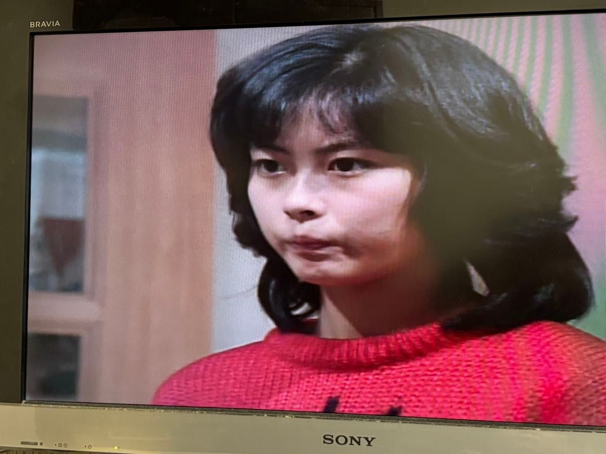 毎度おさわがせします DVD全14巻セット 中山美穂 木村一八 毎度おさわがせします DVD全14巻セット 中山美穂 木村一八