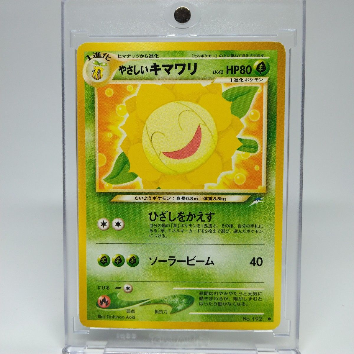 ポケモンカード 旧裏 3枚セットやさしいカイリキー やさしい ポケモンカード 旧裏 3枚セットやさしいカイリキー やさしい