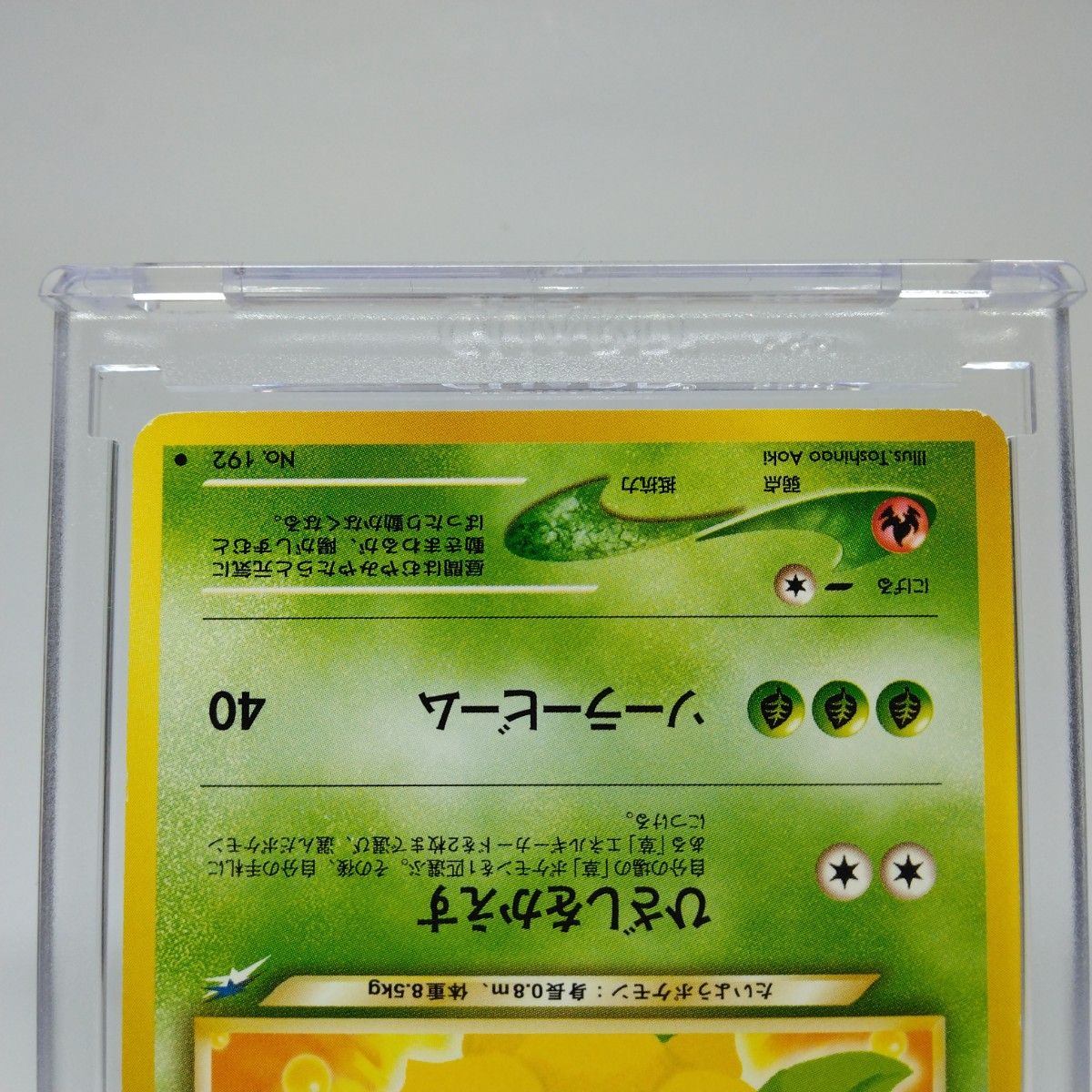 ポケモンカード 旧裏 3枚セットやさしいカイリキー やさしい ポケモンカード 旧裏 3枚セットやさしいカイリキー やさしい