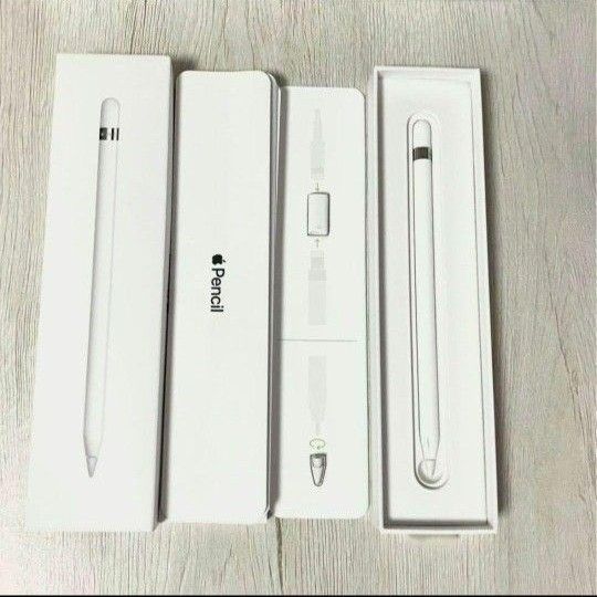 新品未開封 2025年1月購入品 Apple Pencil Pro ☆2025年1月購入・公式保証付☆ Apple Pencil Pro アップル
