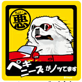 新品★ちょい悪マグネット★ペキニーズ白★車に♪★犬雑貨_画像1