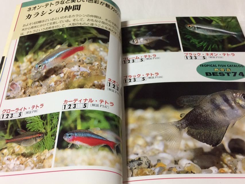 ヤフオク 熱帯魚とアクアリウムの楽しみ方 水草 岩 流木 ヤフオク 熱帯魚とアクアリウムの楽しみ方 水草 岩 流木