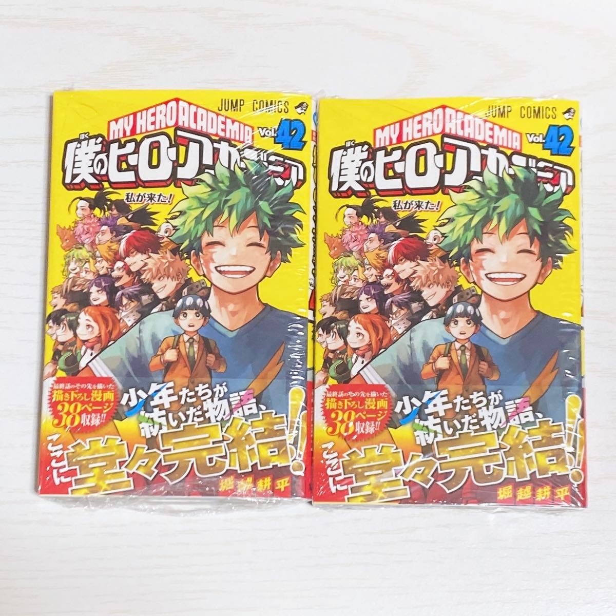 僕のヒーローアカデミア 全巻セット(1〜42巻)完結巻まで 僕のヒーローアカデミア 全巻セット(1〜42巻)完結巻まで