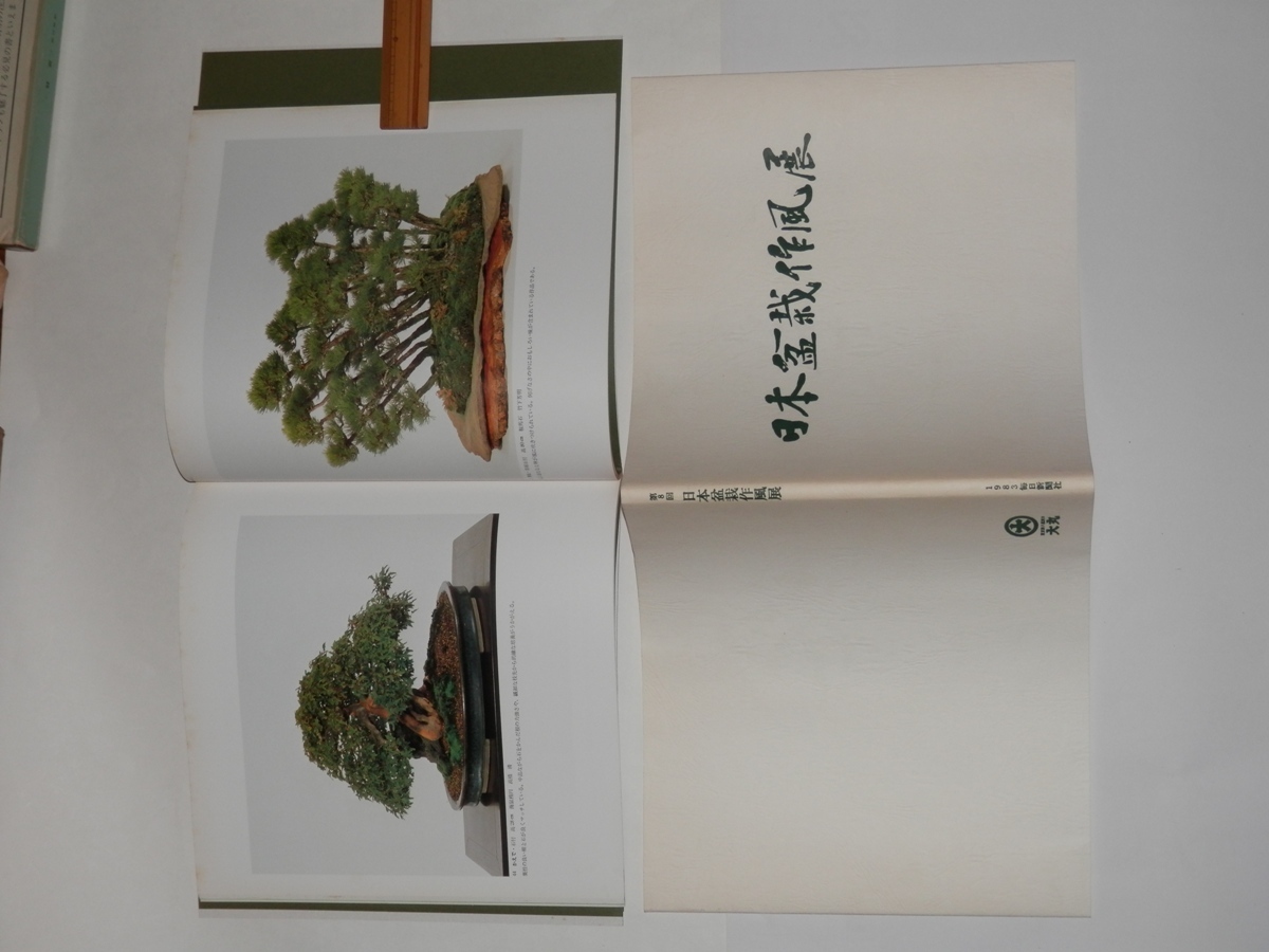 ...1 pcs. japanese garden forest .. river . writing pavilion Showa era 47 year no. 8 times Japan bonsai work manner exhibition large circle Tokyo shop 1983 year the first version llustrated book bonsai BONSAI Showa Retro 