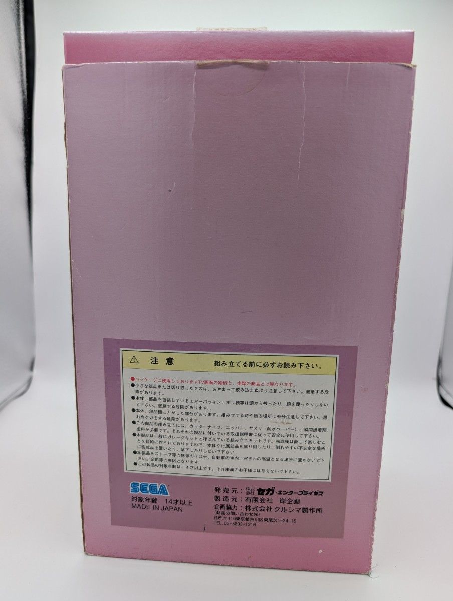 ミスマル・ユリカ ガレージキット 胸像 ガレキ 機動戦艦ナデシコ ミスマル・ユリカ ガレージキット 胸像 ガレキ 機動戦艦ナデシコ