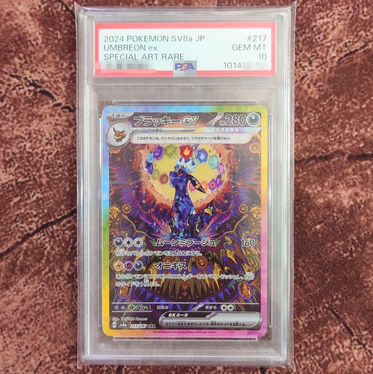 GINGER掲載商品】 ポケモンカード ブラッキーex テラスタル GINGER掲載商品】 ポケモンカード ブラッキーex テラスタル