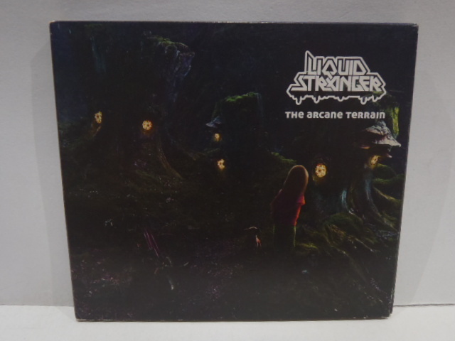 廃盤 CD　LIQUID STRANGER　The Arcane Terrain　ダブ ブレイクビーツ ヒップホップ DUB BREAK BEATS HIP HOP_画像1