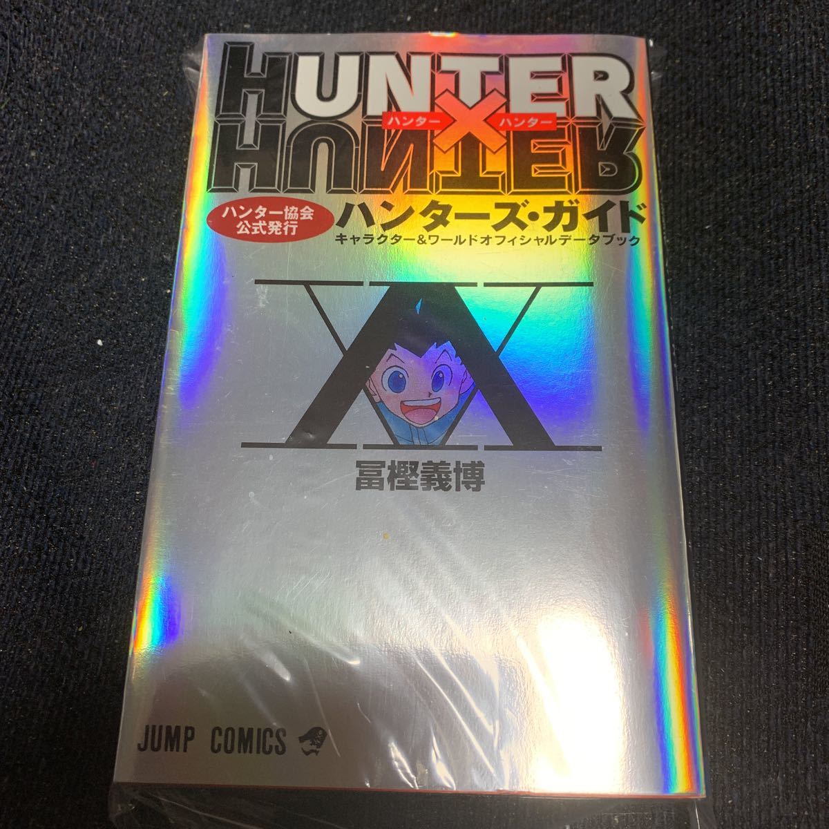 貴重！全初版 HUNTER×HUNTER ハンターハンター 冨樫義博 全巻セット +α ハンター×ハンター 幽遊白書 作者 0巻 から 36巻まで 計38冊_画像4