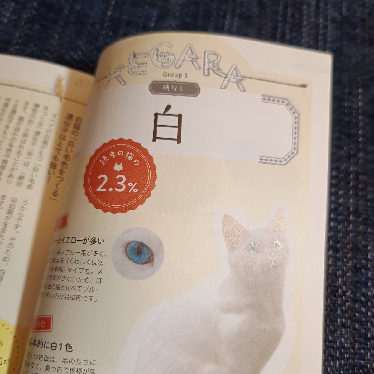 item_image_10