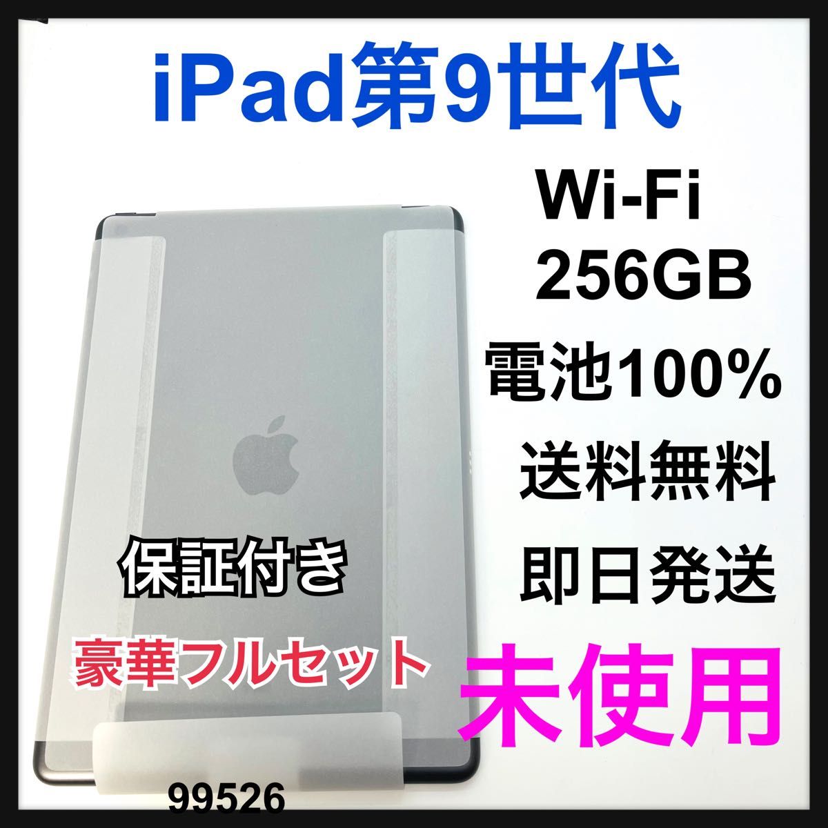 未使用 iPad 第9世代 256 GB グレイ Wi-Fi 本体 未使用 iPad 第9世代 256 GB グレイ Wi-Fi 本体