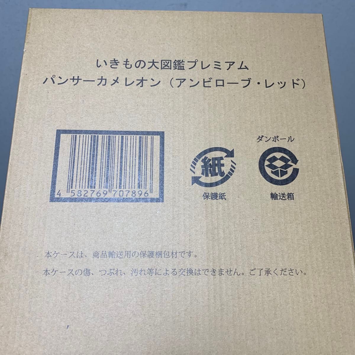 いきもの大図鑑プレミアム パンサーカメレオン(アンビローブ いきもの大図鑑プレミアム パンサーカメレオン(アンビローブ