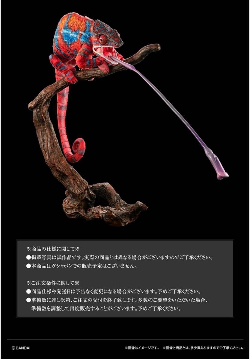 いきもの大図鑑プレミアム パンサーカメレオン(アンビローブ いきもの大図鑑プレミアム パンサーカメレオン(アンビローブ