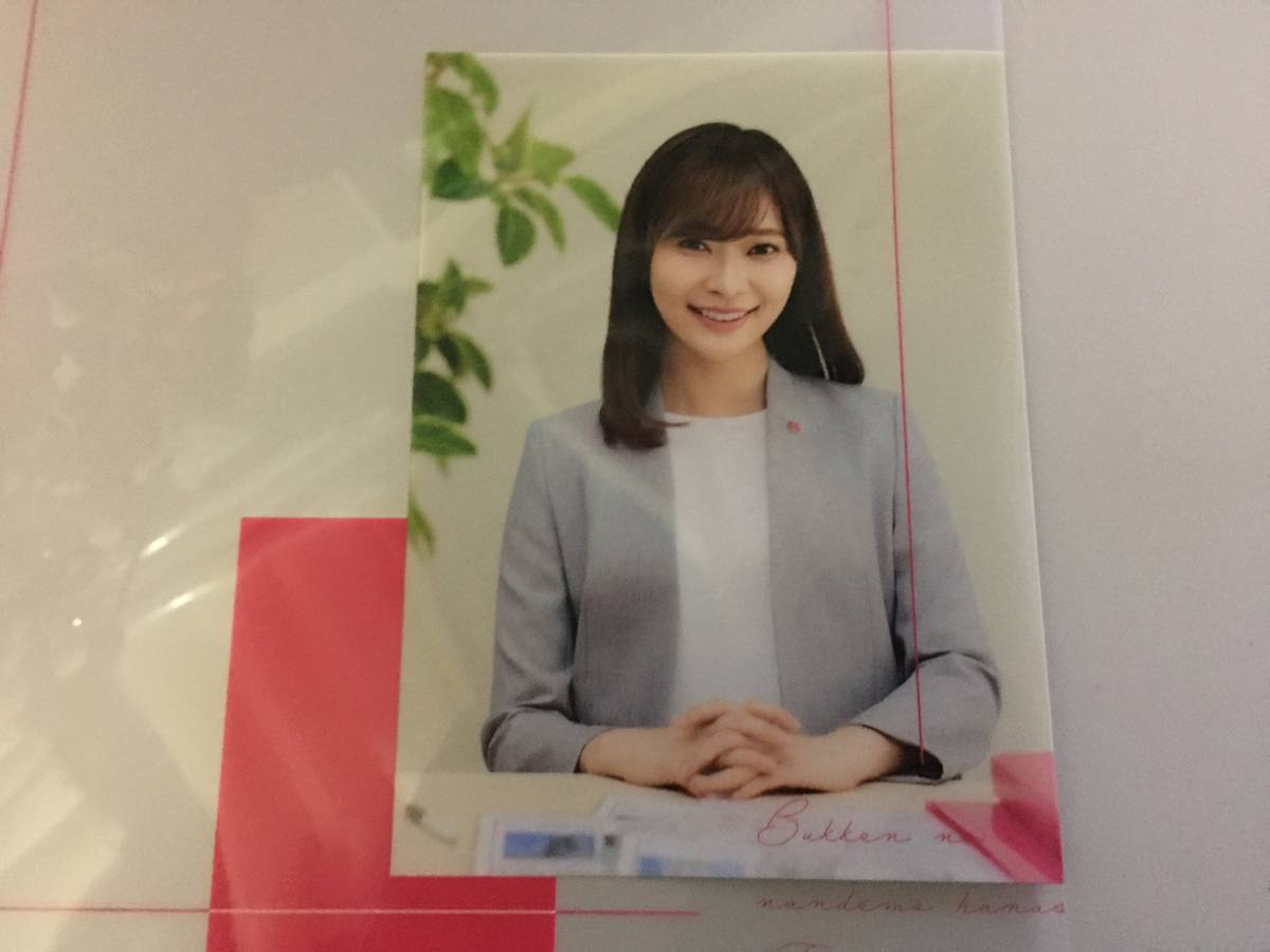 ★【逸品堂】★ 指原莉乃 AKB48 クリアファイル 書類 契約書入れ A4 ハウスメイト 企業ノベルティ 珍品 美品 サッシー 指原子HKB 非売品_画像9