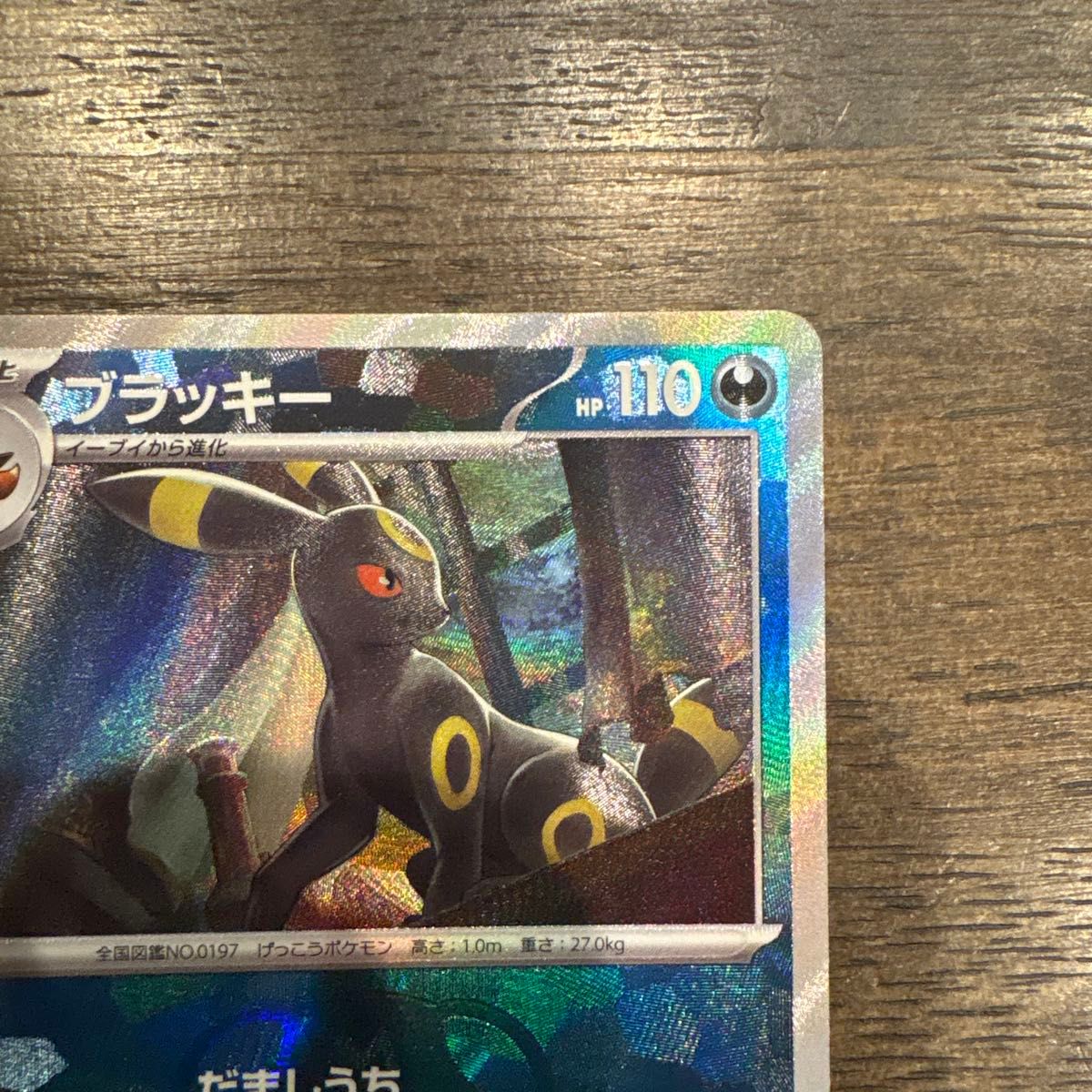 ポケモンカード テラスタルフェスex ブラッキー マスターボール ポケモンカード テラスタルフェスex ブラッキー マスターボール
