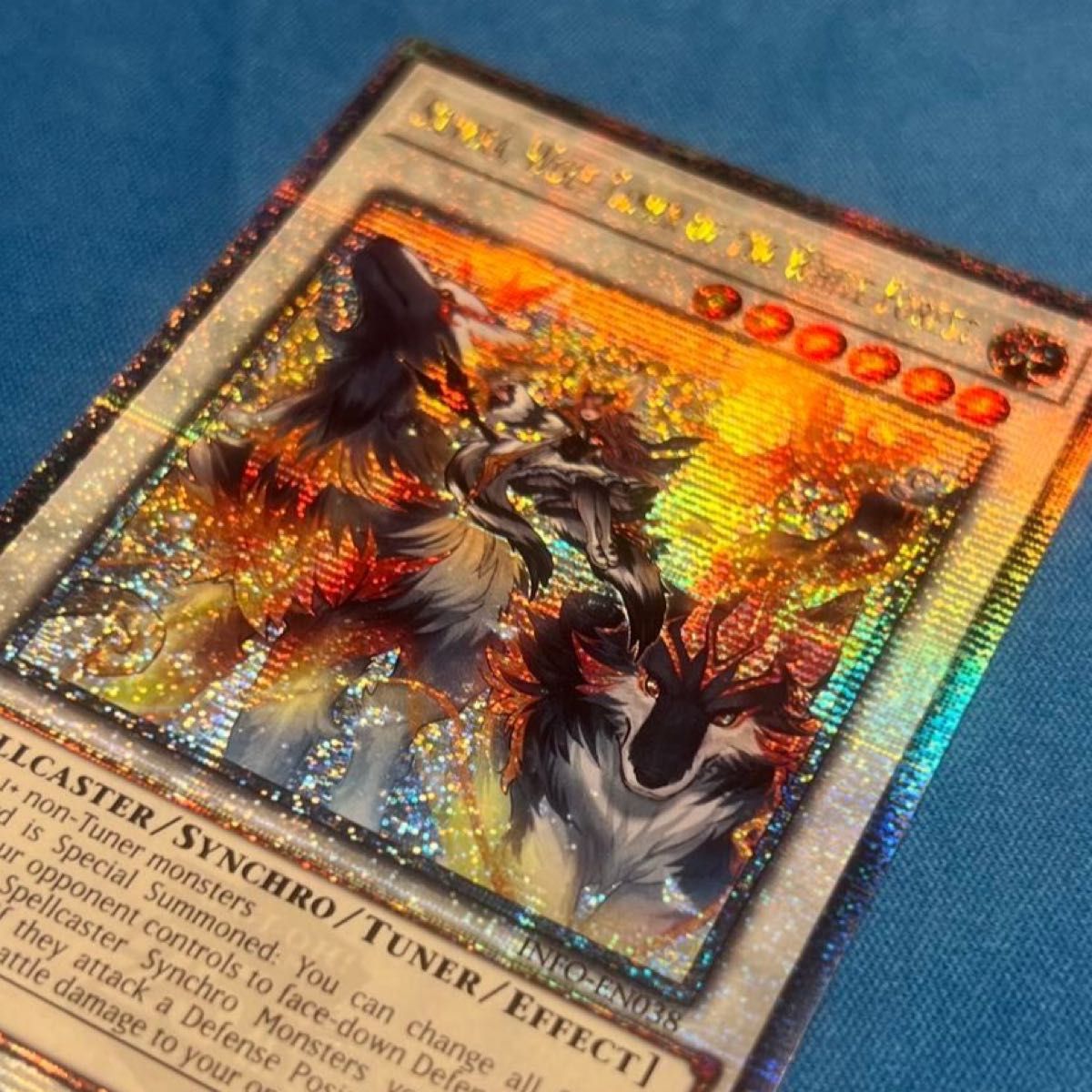 遊戯王 白き森の魔狼シルウィア EU英語版 1st 25thレア 1枚 遊戯王 白き森の魔狼シルウィア EU英語版 1st 25thレア 1枚