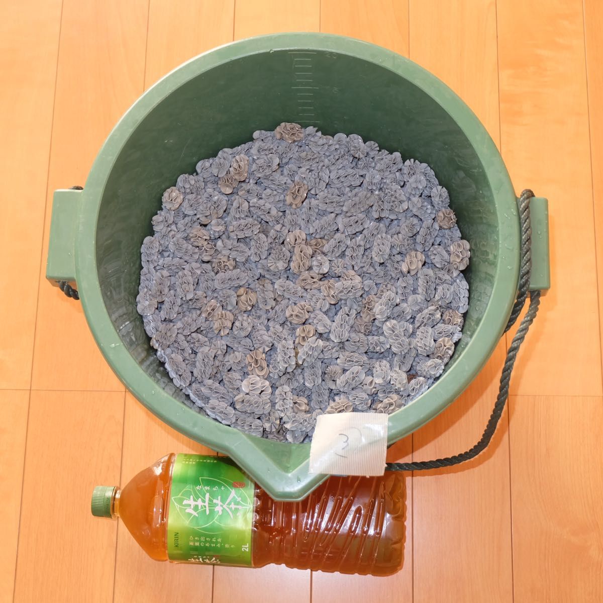 フジノスパイラル 約10L ろ材 濾材 ラボスパイラル LABO フジノスパイラル 約10L ろ材 濾材 ラボスパイラル LABO