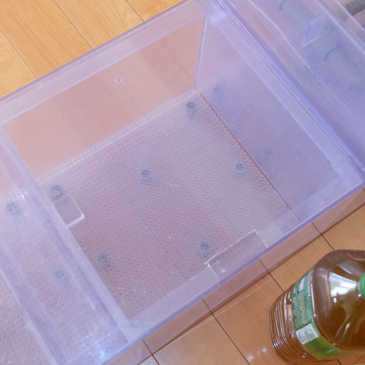 ぷぅ工房 120cm 水槽用 上部フィルター 大型 特注品 濾過槽 ぷぅ工房 120cm 水槽用 上部フィルター 大型 特注品 濾過槽